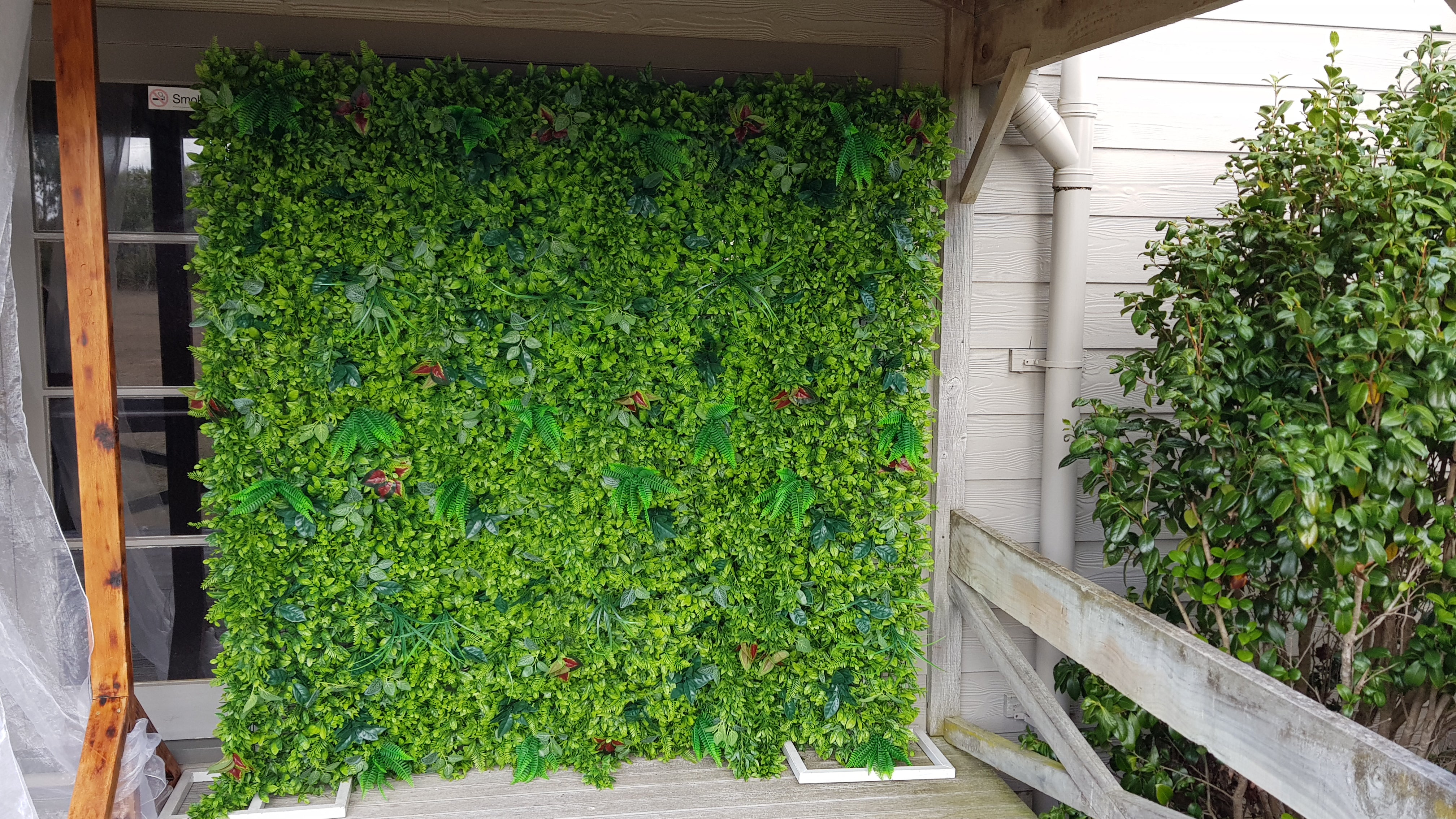 Backdrop Greenery Wall - Lush