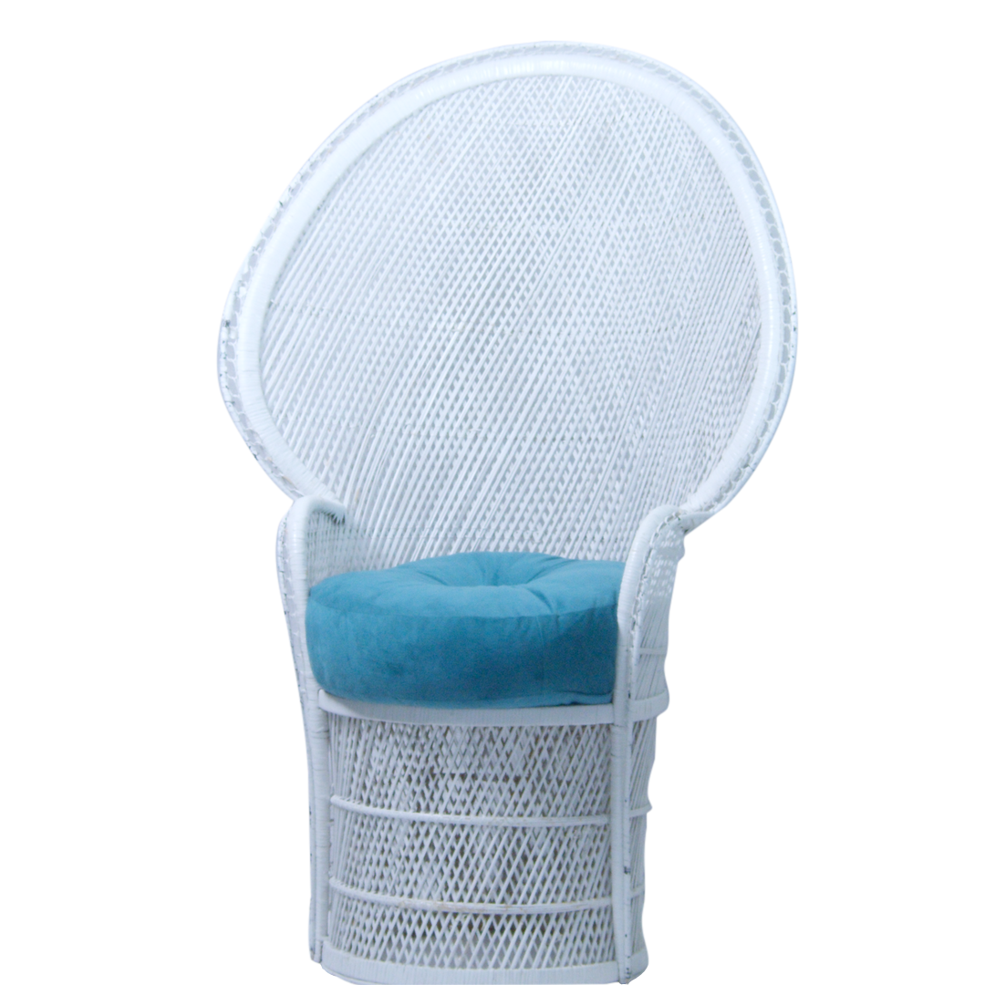 Chair - Peacock