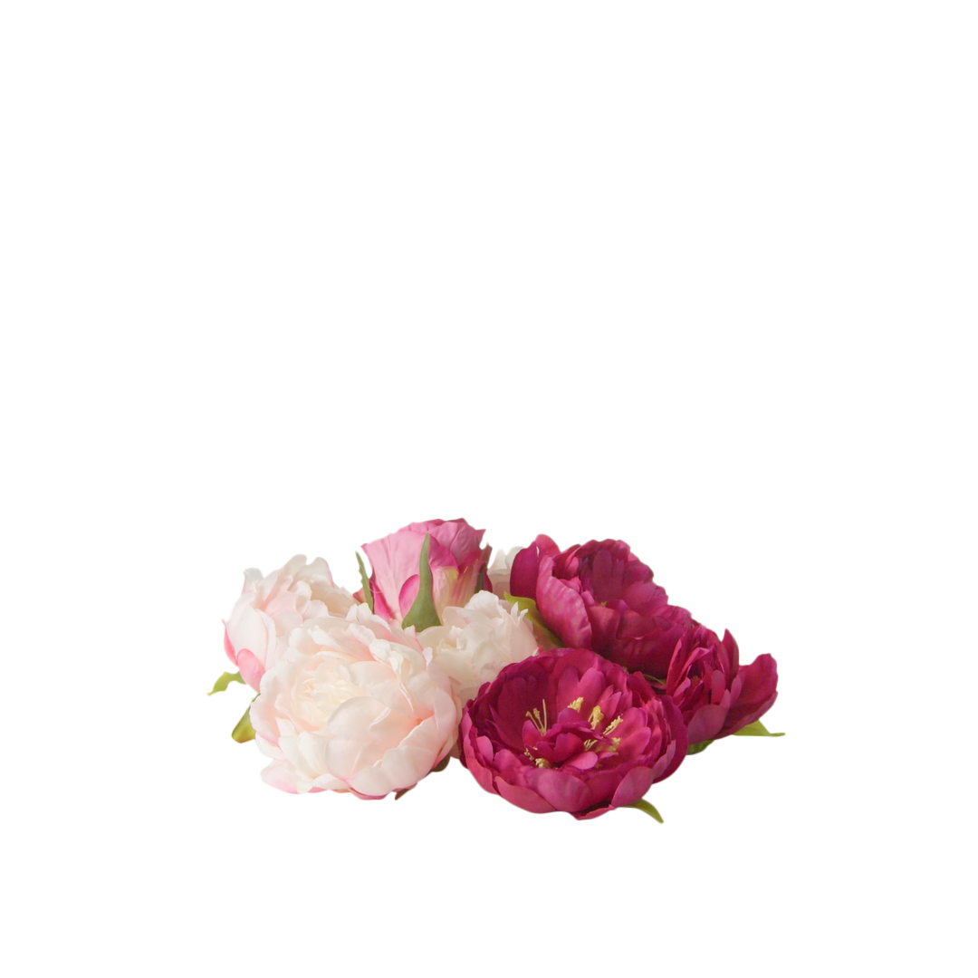 Florals - Peonies - Loose - Pinks