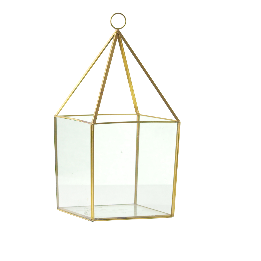 Gold Terrarium