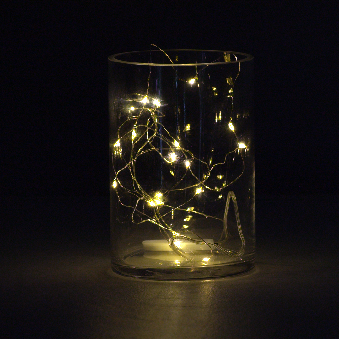 LED Seed Lights (Batteries Included)