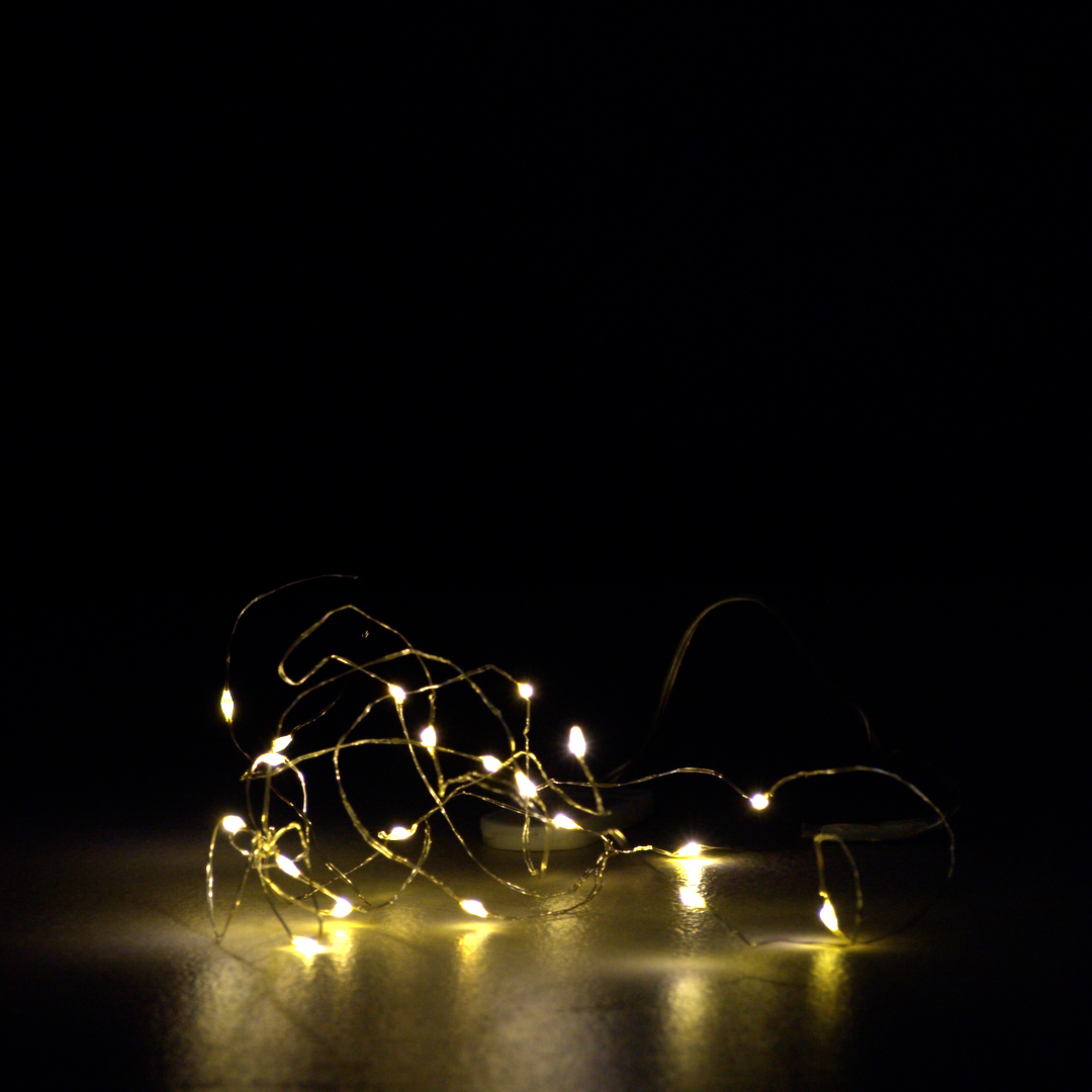 LED Seed Lights (Batteries Included)