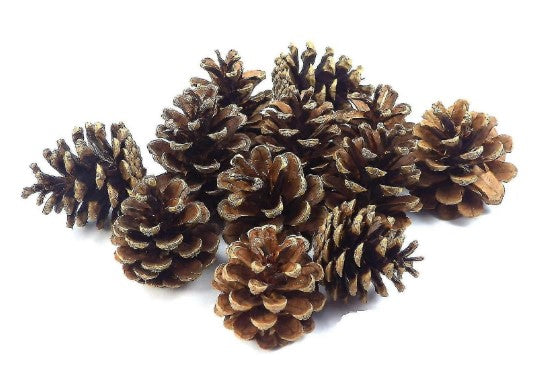 Decorative Bin of Pine Cones