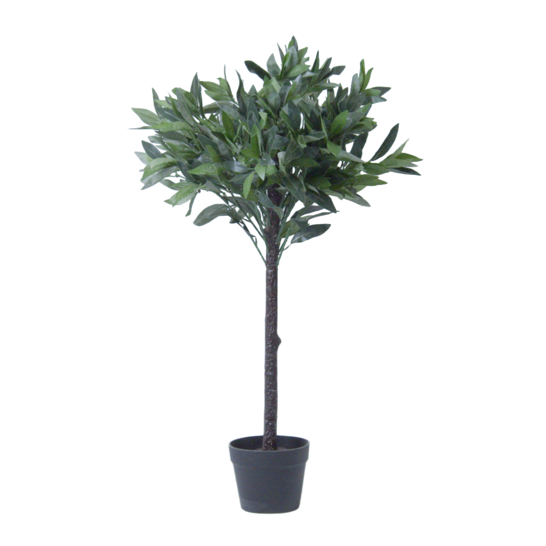 Tree - Laurel Topiary