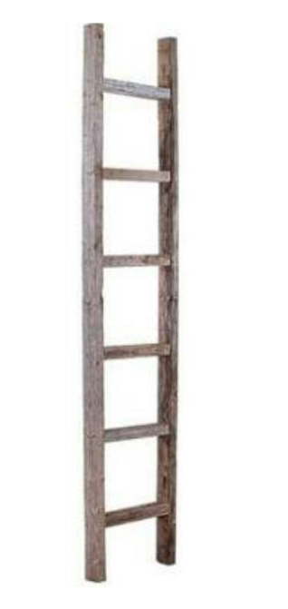 Vintage Painters Ladder 2.7m