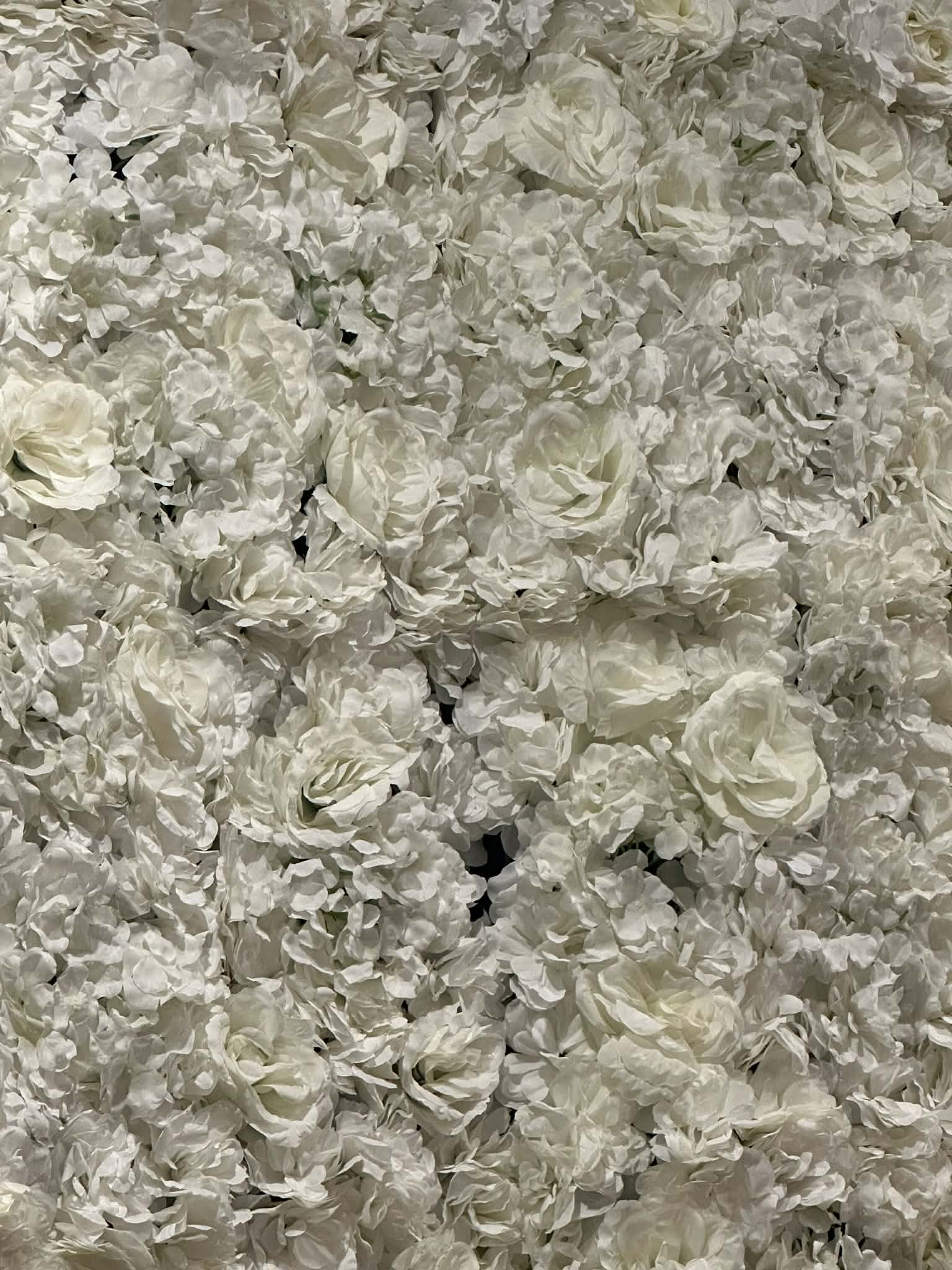Backdrop - White Floral Wall